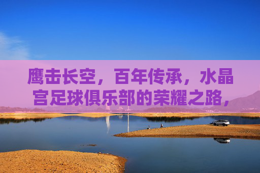 鹰击长空，百年传承，水晶宫足球俱乐部的荣耀之路，鹰击长空百年传承，水晶宫荣耀之路