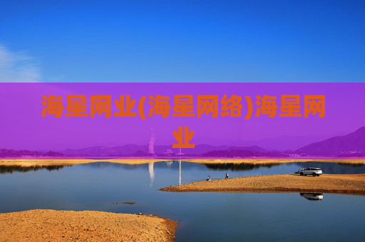 海星网业(海星网络)海星网业