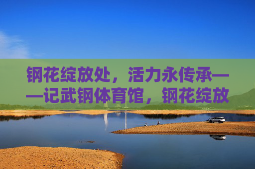 钢花绽放处，活力永传承——记武钢体育馆，钢花绽放处，活力永传承——武钢体育馆