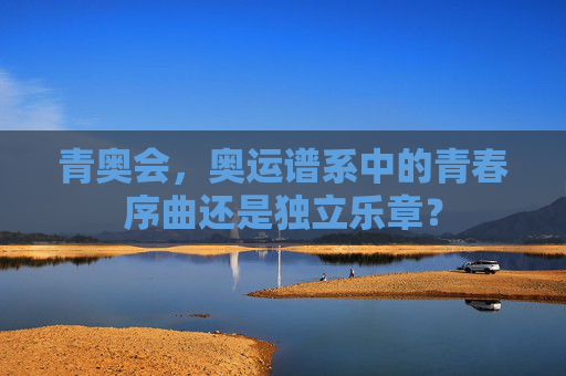 青奥会,奥运谱系中的青春序曲还是独立乐章?