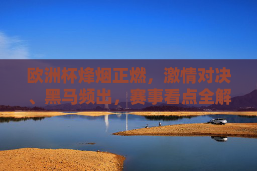 欧洲杯烽烟正燃,激情对决、黑马频出,赛事看点全解析,欧洲杯烽烟正燃,激情对决黑马频出,赛事看点全解析
