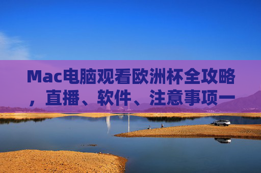 Mac电脑观看欧洲杯全攻略，直播、软件、注意事项一应俱全，Mac观看欧洲杯全攻略，直播、软件、注意事项一应俱全