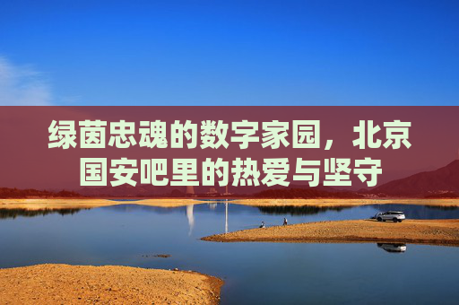 绿茵忠魂的数字家园,北京国安吧里的热爱与坚守