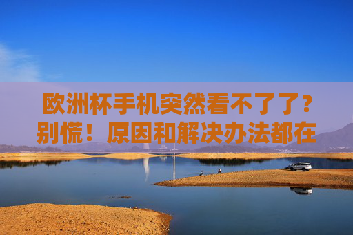 欧洲杯手机突然看不了了?别慌!原因和解决办法都在这里,欧洲杯手机突然看不了?原因和解决办法全在这