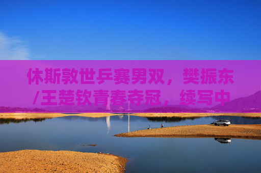 休斯敦世乒赛男双,樊振东/王楚钦青春夺冠,续写中国乒乓传奇,樊振东/王楚钦青春夺冠 休斯敦续写中国乒乓传奇