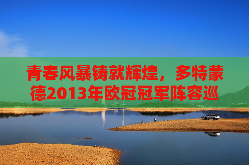 青春风暴铸就辉煌,多特蒙德2013年欧冠冠军阵容巡礼,青春风暴铸就辉煌,多特蒙德2013年欧冠冠军阵容巡礼