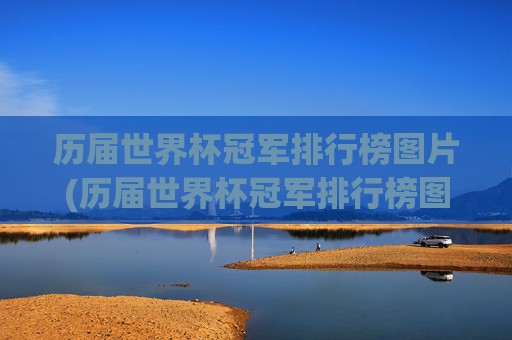 历届世界杯冠军排行榜图片(历届世界杯冠军排行榜图片大全)