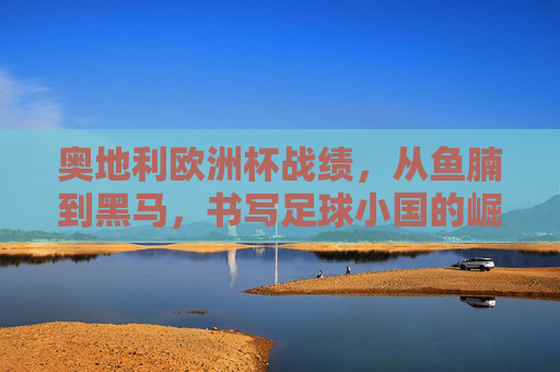 奥地利欧洲杯战绩,从鱼腩到黑马,书写足球小国的崛起之路,奥地利欧洲杯,从鱼腩到黑马,足球小国崛起之路