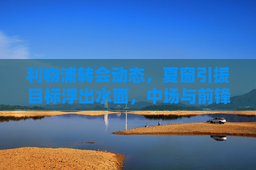 利物浦转会动态，夏窗引援目标浮出水面，中场与前锋线或迎重磅调整，利物浦夏窗转会引援目标浮现，中场前锋线或迎重磅调整