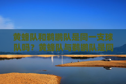 黄蜂队和鹈鹕队是同一支球队吗?黄蜂队与鹈鹕队是同一支球队吗?