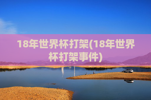 18年世界杯打架(18年世界杯打架事件)