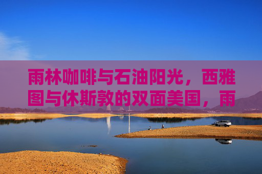 雨林咖啡与石油阳光,西雅图与休斯敦的双面美国,雨林咖啡与石油阳光,西雅图和休斯敦的双面美国