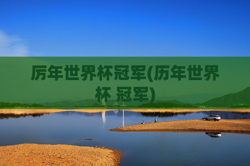 厉年世界杯冠军(历年世界杯 冠军)