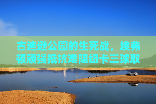 古迪逊公园的生死战,埃弗顿顽强抵抗难阻纽卡三球取胜,保级形势再陷危机,古迪逊公园生死战,纽卡三球取胜,埃弗顿保级再陷危机