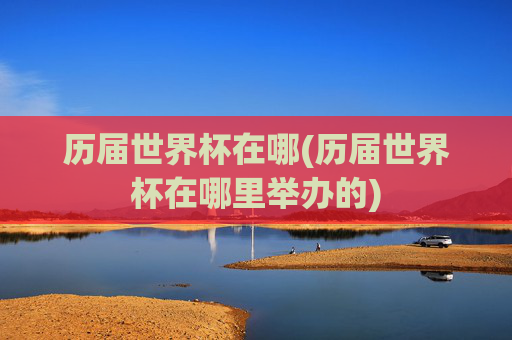 历届世界杯在哪(历届世界杯在哪里举办的)