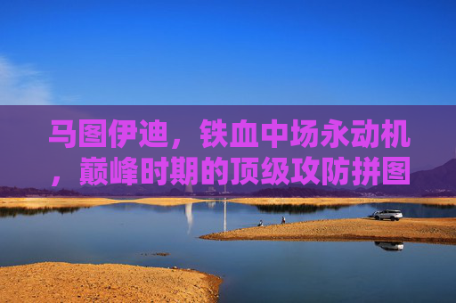 马图伊迪,铁血中场永动机,巅峰时期的顶级攻防拼图,马图伊迪,铁血中场永动机,巅峰攻防拼图