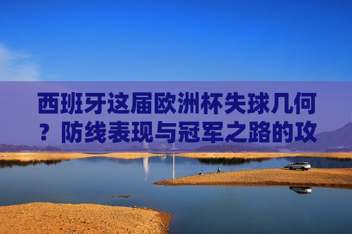 西班牙这届欧洲杯失球几何?防线表现与冠军之路的攻守辩证,西班牙欧洲杯防线,失球几何与冠军之路的攻守辩证