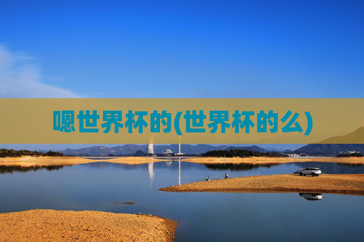 嗯世界杯的(世界杯的么)
