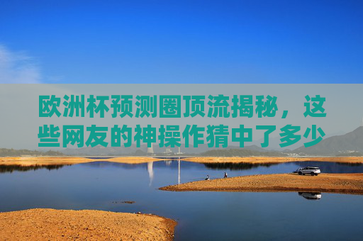 欧洲杯预测圈顶流揭秘,这些网友的神操作猜中了多少冷门?欧洲杯顶流预测,网友神操作猜中多少冷门?