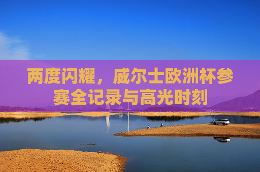 两度闪耀,威尔士欧洲杯参赛全记录与高光时刻