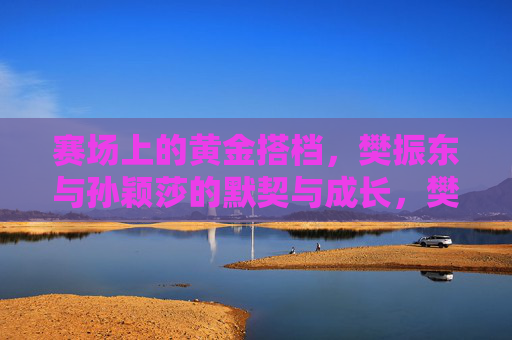 赛场上的黄金搭档,樊振东与孙颖莎的默契与成长,樊振东孙颖莎,赛场黄金搭档的默契与成长