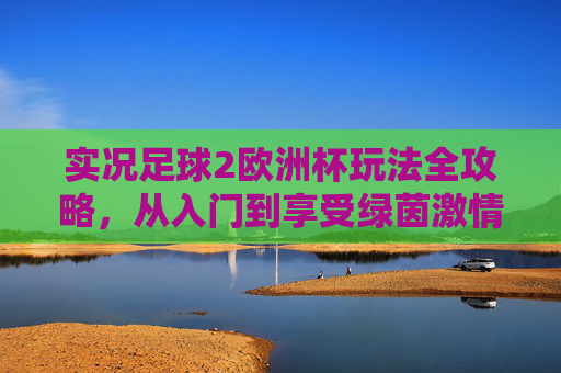 实况足球2欧洲杯玩法全攻略，从入门到享受绿茵激情，实况足球2欧洲杯全攻略，从入门到畅享绿茵激情