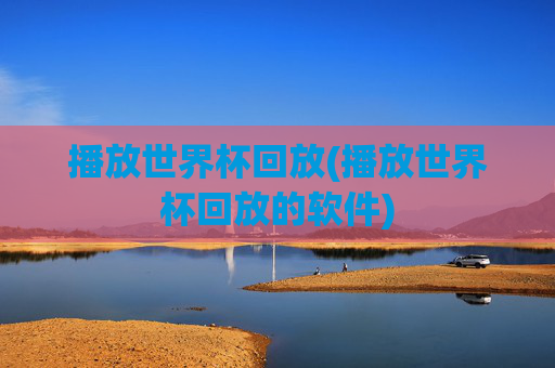 播放世界杯回放(播放世界杯回放的软件)