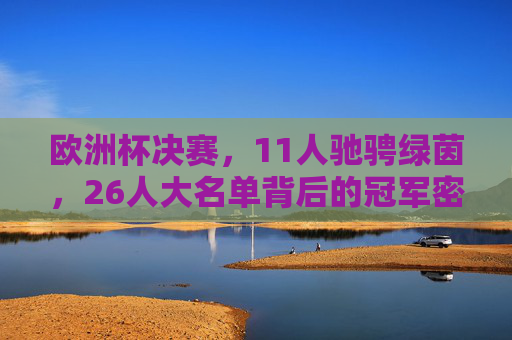 欧洲杯决赛，11人驰骋绿茵，26人大名单背后的冠军密码，欧洲杯决赛，11人驰骋绿茵，26人名单背后的冠军密码