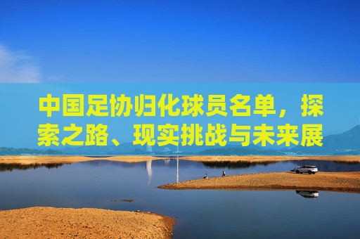 中国足协归化球员名单，探索之路、现实挑战与未来展望，中国足协归化球员名单，探索之路、现实挑战与未来展望