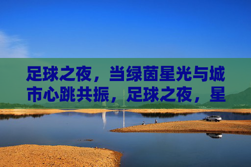 足球之夜,当绿茵星光与城市心跳共振,足球之夜,星光城心共振