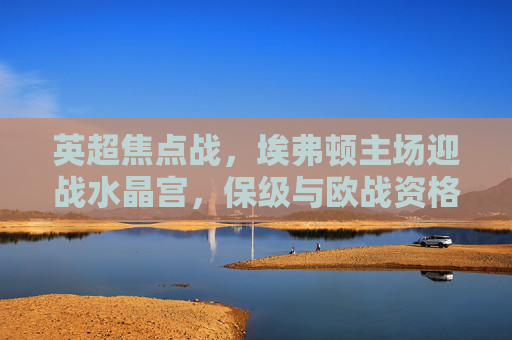 英超焦点战,埃弗顿主场迎战水晶宫,保级与欧战资格的双重博弈,英超焦点战,埃弗顿主场迎战水晶宫,保级与欧战资格双重博弈