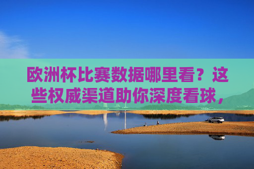 欧洲杯比赛数据哪里看？这些权威渠道助你深度看球，欧洲杯数据权威渠道，助你深度看球