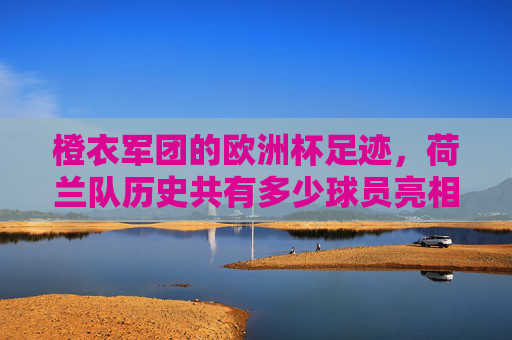 橙衣军团的欧洲杯足迹,荷兰队历史共有多少球员亮相?