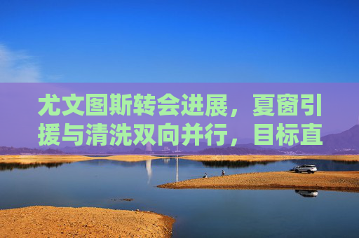 尤文图斯转会进展，夏窗引援与清洗双向并行，目标直指阵容优化，尤文图斯夏窗转会，引援清洗双向并行，目标阵容优化