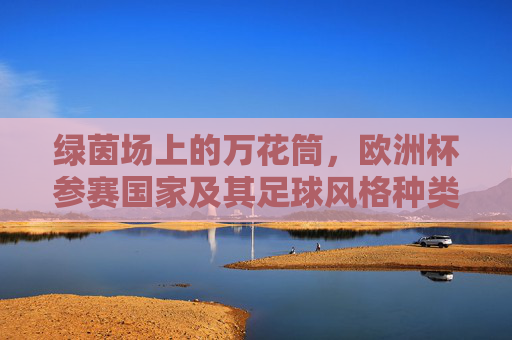 绿茵场上的万花筒,欧洲杯参赛国家及其足球风格种类,欧洲杯参赛国足球风格,绿茵场上的万花筒
