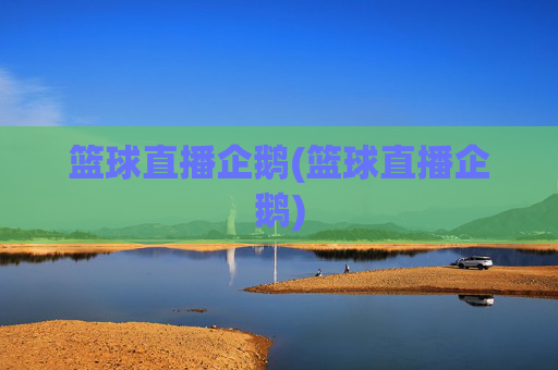 篮球直播企鹅(篮球直播企鹅)