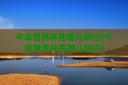 今年世界杯在哪儿举行(今年世界杯在哪儿举行)
