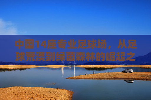中国14座专业足球场，从足球荒漠到绿茵森林的崛起之路，中国14座专业足球场，从足球荒漠到绿茵森林的崛起之路