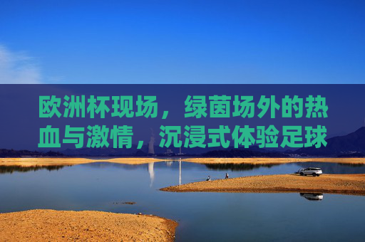 欧洲杯现场，绿茵场外的热血与激情，沉浸式体验足球的魅力，欧洲杯现场，绿茵场外热血沉浸，足球魅力直击