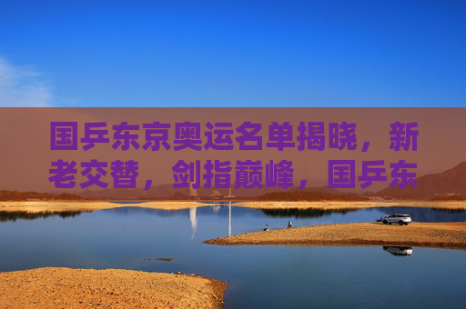 国乒东京奥运名单揭晓，新老交替，剑指巅峰，国乒东京奥运名单，新老交替剑指巅峰