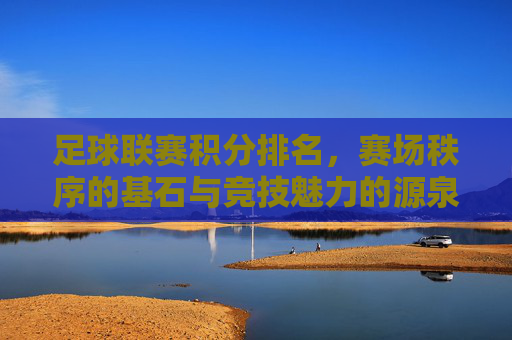 足球联赛积分排名,赛场秩序的基石与竞技魅力的源泉,足球联赛积分排名,赛场秩序的基石与竞技魅力的源泉