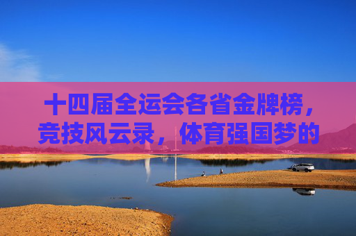 十四届全运会各省金牌榜，竞技风云录，体育强国梦的生动注脚，十四届全运会金牌榜，竞技风云录，体育强国梦生动注脚