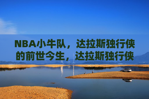 NBA小牛队,达拉斯独行侠的前世今生,达拉斯独行侠(前小牛队)的前世今生