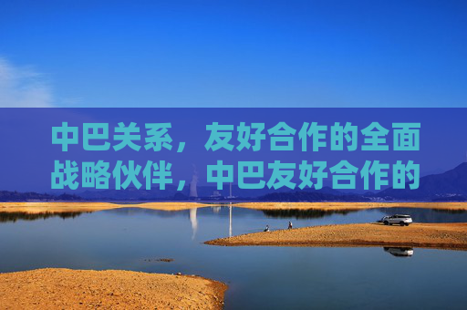 中巴关系,友好合作的全面战略伙伴,中巴友好合作的全面战略伙伴关系