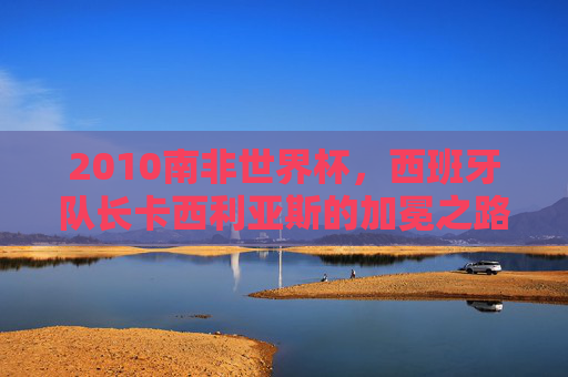 2010南非世界杯,西班牙队长卡西利亚斯的加冕之路,卡西利亚斯,2010南非世界杯加冕之路