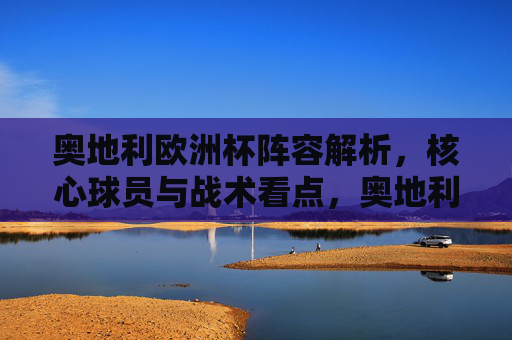 奥地利欧洲杯阵容解析，核心球员与战术看点，奥地利欧洲杯阵容解析，核心球员与战术看点