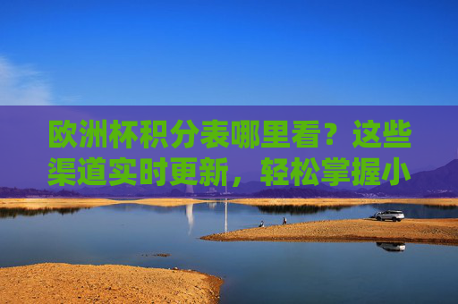 欧洲杯积分表哪里看？这些渠道实时更新，轻松掌握小组赛动态！欧洲杯积分表实时查询渠道，轻松掌握小组赛动态