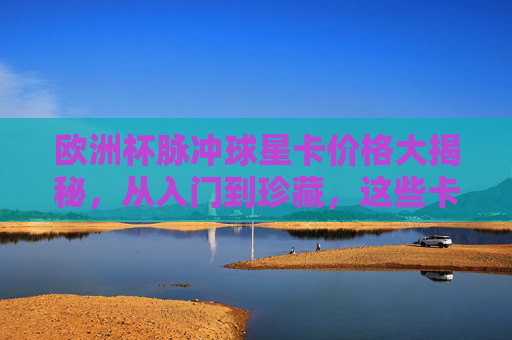 欧洲杯脉冲球星卡价格大揭秘，从入门到珍藏，这些卡值多少钱？欧洲杯脉冲球星卡价格指南，从入门到珍藏，值多少？