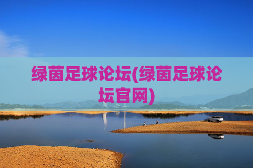 绿茵足球论坛(绿茵足球论坛官网)