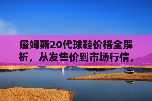 詹姆斯20代球鞋价格全解析，从发售价到市场行情，值不值得入手？詹姆斯20代球鞋价格全解析，发售价、市场行情与入手价值